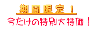 WEBキャンペーン